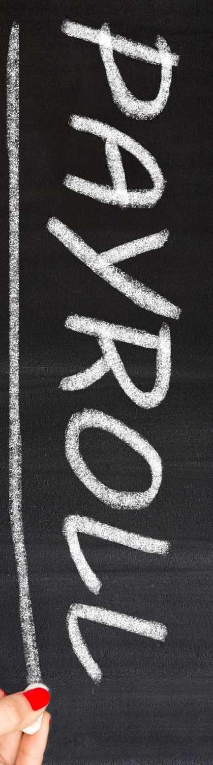 What are payroll services?