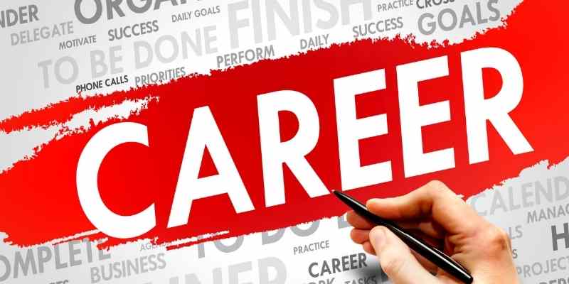 Accountancy career path